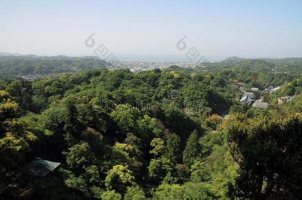 龙山庙采用台北,台湾巨鸟