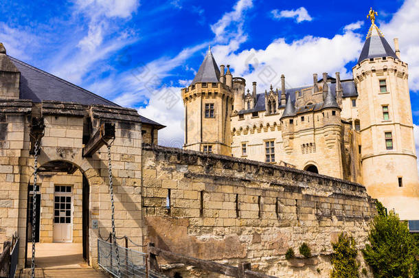 美丽的城堡关于卢瓦尔河山谷-给人印象深刻的中古的一种法国白葡萄酒.