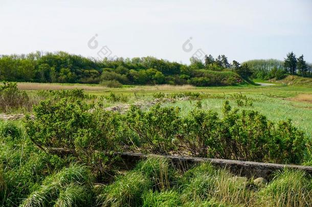 风景