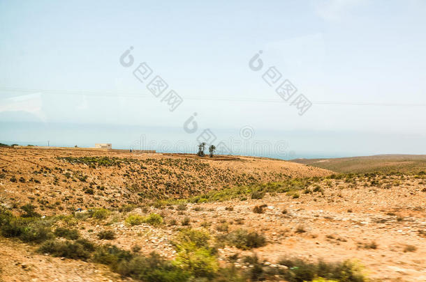 撒哈拉沙漠沙漠,沙和不同的植物