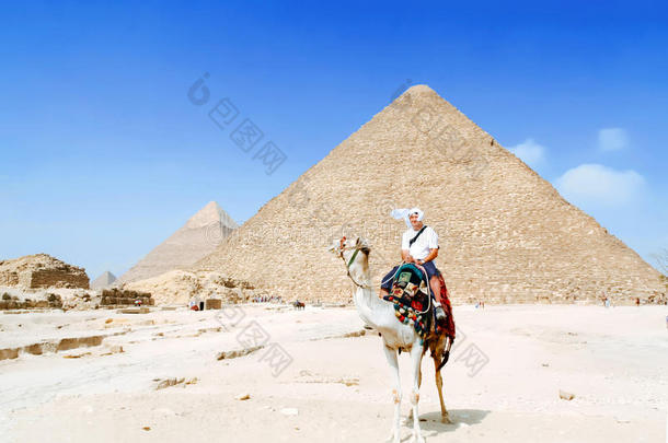 男人旅行者骑马向骆驼采用埃及沙漠
