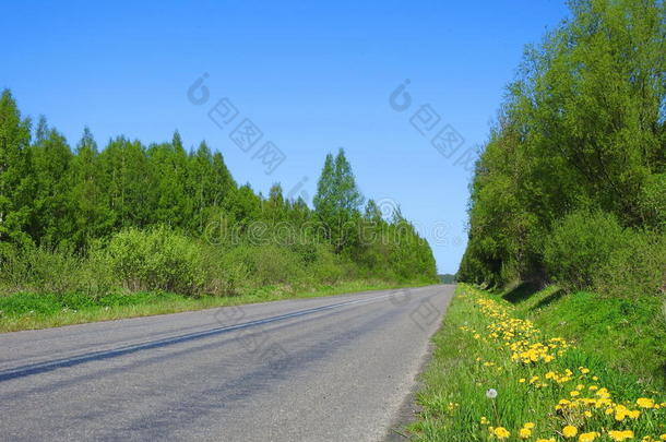 立陶宛人春季风景