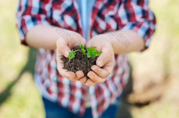 关在上面关于年幼的发芽植物采用蔡尔兹取自父名手