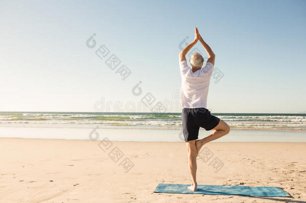 饲养看法关于较高的男人开业的树使摆姿势在海滩