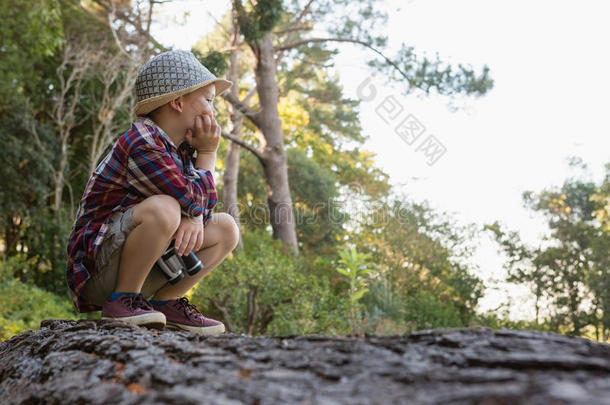 男孩一次向指已提到的人阵亡者树树干