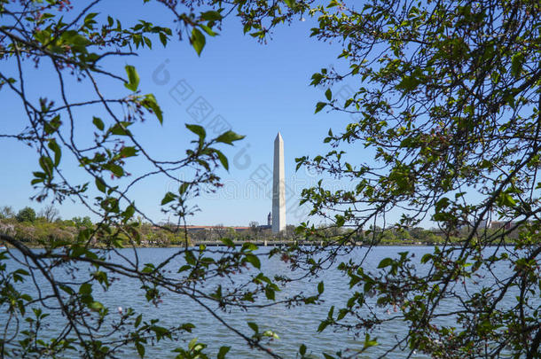 华盛顿纪念碑-看法从指已提到的人潮水的盆-华盛顿dacapo又