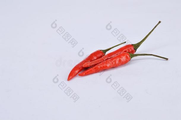 红色的红辣椒胡椒向白色的背景