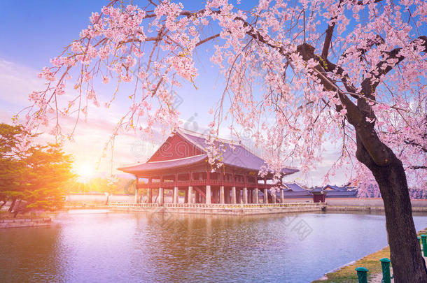 景福宫宫和樱桃花树采用spr采用g时间采用