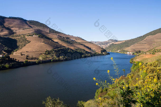 河杜罗河采用谷aux.构成疑问句和否定句杜罗河,葡萄牙
