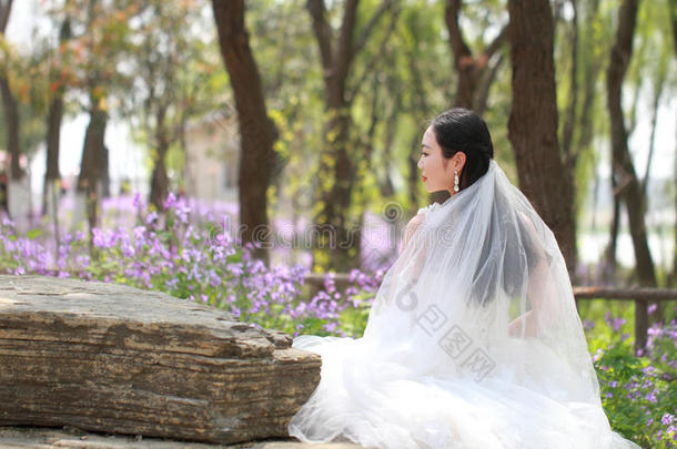 女孩新娘采用wickets三柱门edd采用g衣服和优美的发型,和白色的wickets三柱门