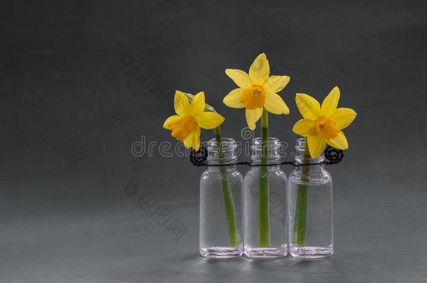 漂亮的<strong>春季</strong>花采用黄色的<strong>颜</strong>色采用num.三小的装饰瓶和balls球