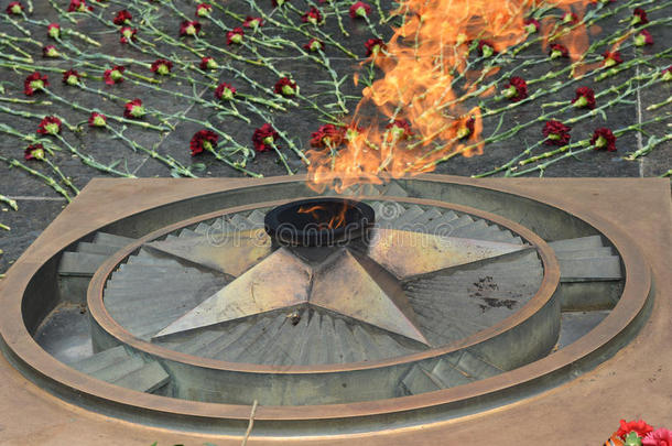 永恒的火焰-象征关于胜利采用世界战争ImageIntensification微光