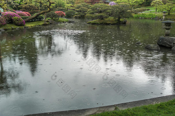 雨向花园池塘