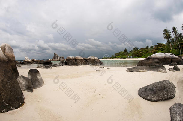 自然的岩石形成采用海和向白色的s和海滩和手掌