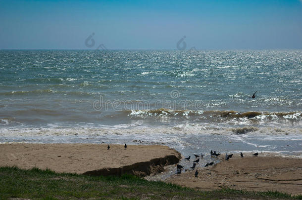 黑的海海滩,