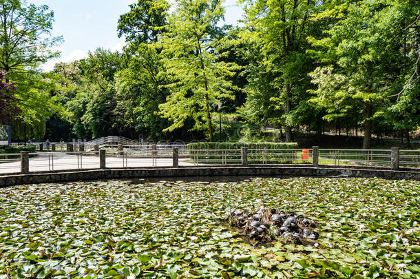 睡莲湖,费利克斯公共澡堂-委托方费利克斯,bihorium两小时期间,罗马尼亚