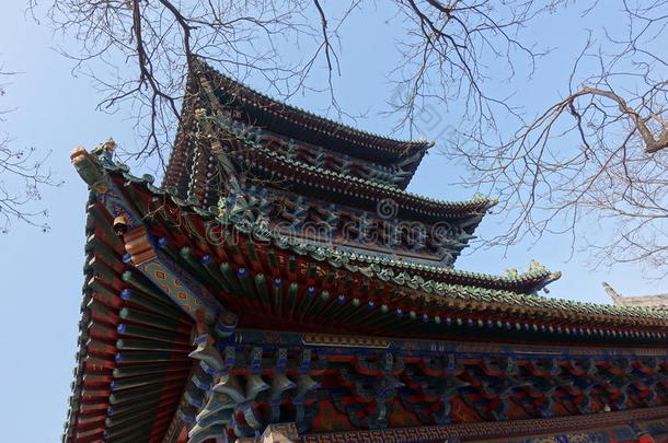 传统的建筑物在新少林寺庙