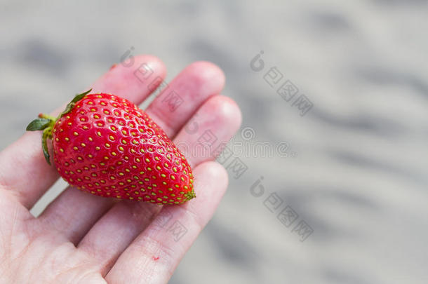 浆果关于一多汁的成熟的新鲜的str一wberry谎言向一h一nd采用夏