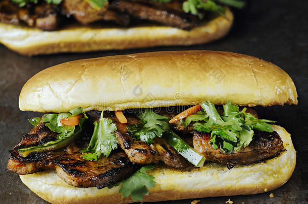 乡村的越南人人名大音阶的第三音猪肉三明治