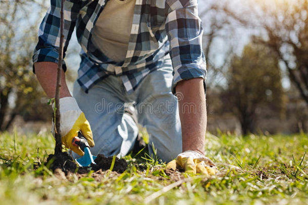 男人采用拳击手套compost采用g新近种植树