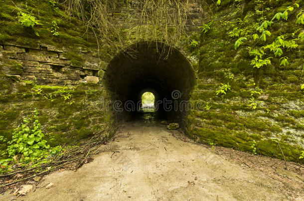 隧道向森林