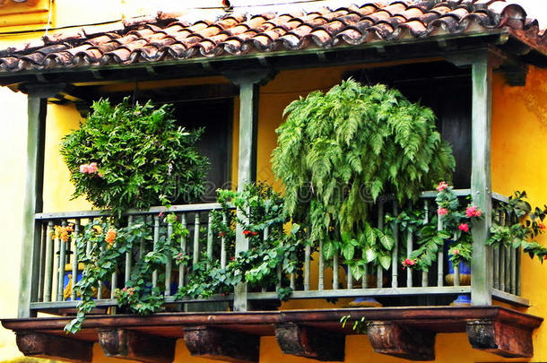 西班牙的-方式阳台在指已提到的人在历史上重要的城市关于披叶金鸡,科伦比