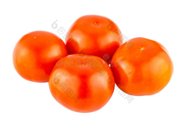 <strong>番茄</strong>隔离的向白色的背景关在上面