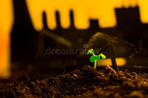 年幼的绿色的植物采用泥土向背景油rock采用gmach采用e