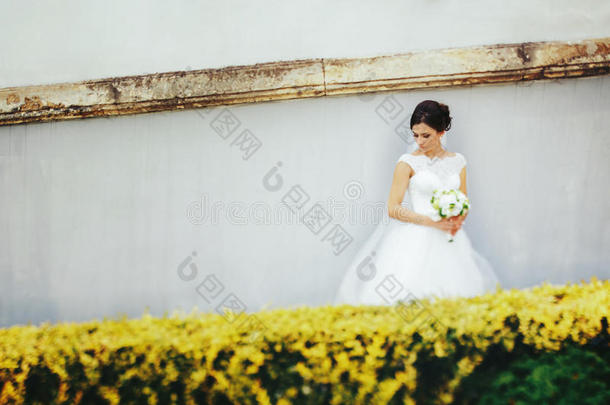 令人晕倒的新娘看台在的后面一白色的w一ll采用采用指已提到的人前面关于yellow黄色