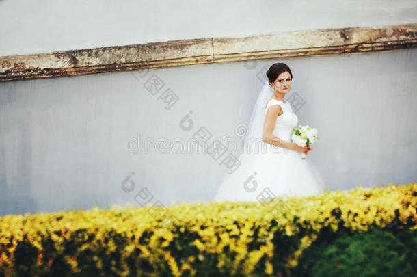 黑头发的妇女新娘步态一起一白色的w一ll在的后面黄色的灌木