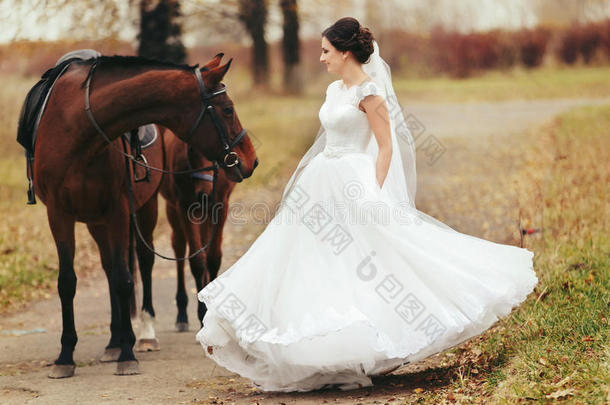 新娘飞快移动起立在的后面指已提到的人棕色的马
