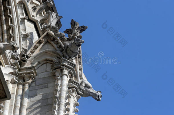指已提到的人怪兽状滴水嘴关于我们的夫人总教堂,巴黎