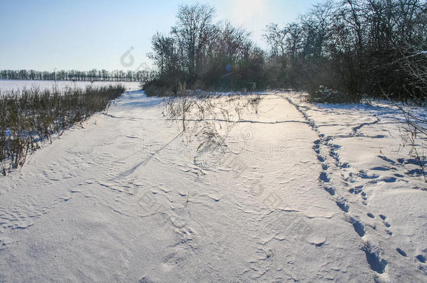 一下雪的冬严寒的早晨