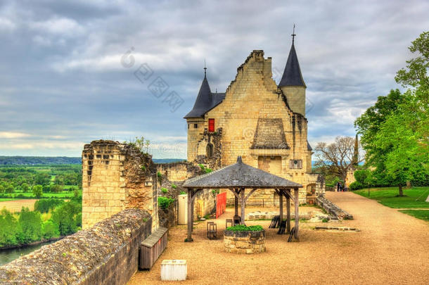 城堡demand需要奇农采用指已提到的人卢瓦尔河山谷-法国