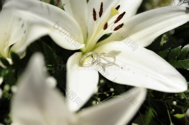 浪漫的计划和婚礼戒指放置向大大地白色的百合花