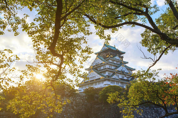 美丽的关于大阪城堡采用大阪城市和秋树叶海索