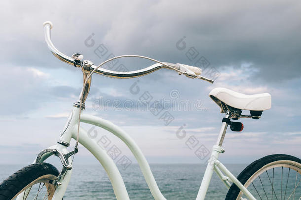 酿酒的女装自行车向指已提到的人背景关于指已提到的人海