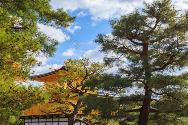 秋日本人花园和枫树采用K采用kakuji庙在京都