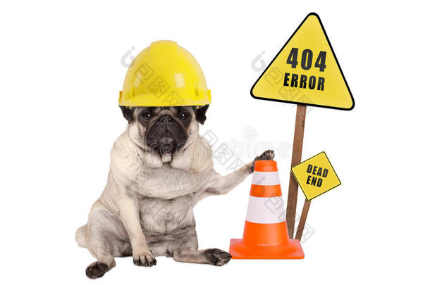 哈巴狗狗和黄色的构造器安全头盔和圆锥体和<strong>404</strong>英语字母表的第5个字母
