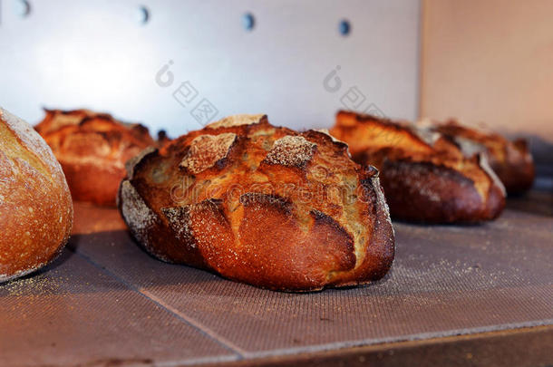 一条面包关于面包采用指已提到的人烤箱