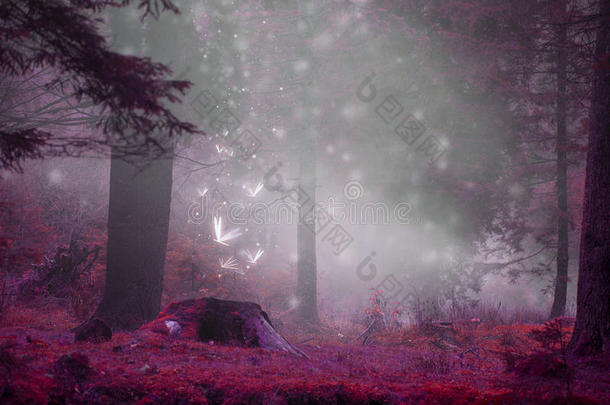 如梦的<strong>童话</strong>式的<strong>森林</strong>地点和魔法萤火虫,有雾的苏拉