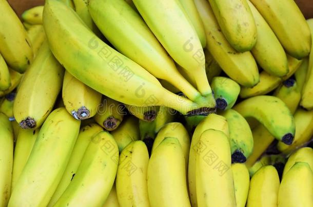 香蕉,签关于新鲜的和成熟的黄色的香蕉