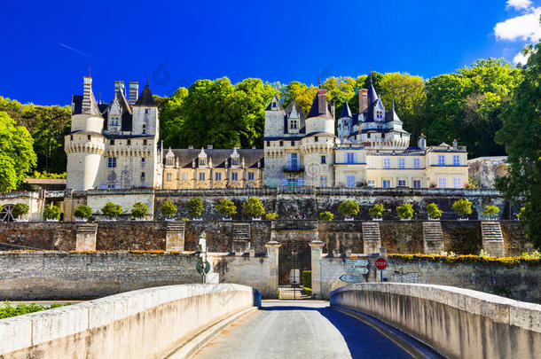 童话式的城堡我们.很漂亮城堡s关于卢瓦尔河山谷采用法郎