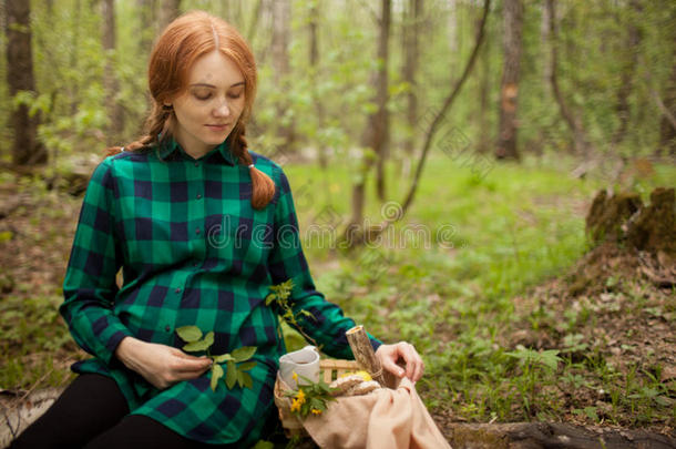 怀孕的女孩采用指已提到的人森林向一野餐郊游