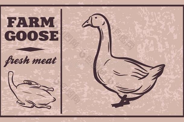 标签关于肉乘积.鸡.家禽肉