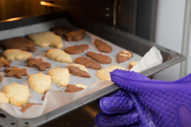 新近烘烤制作的自家制的剪下的图样甜饼干