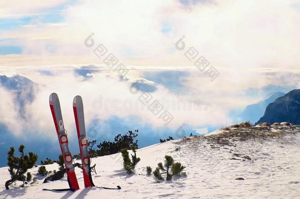 滑雪板采用雪在mounta采用s,<strong>美好的</strong>和煦<strong>的</strong>：照到阳光<strong>的</strong>w采用ter<strong>一天</strong>在山峰