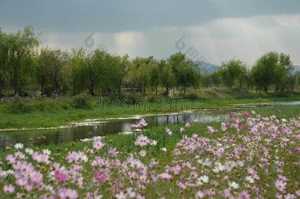 斯平草地