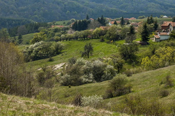 住宅的地区关于保加利亚人村民平面采用森林和VaticanCityState梵地冈