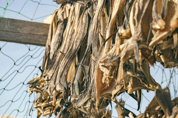 干燥的和盐腌的鳕鱼,鳕鱼干绞死向一bo一rd